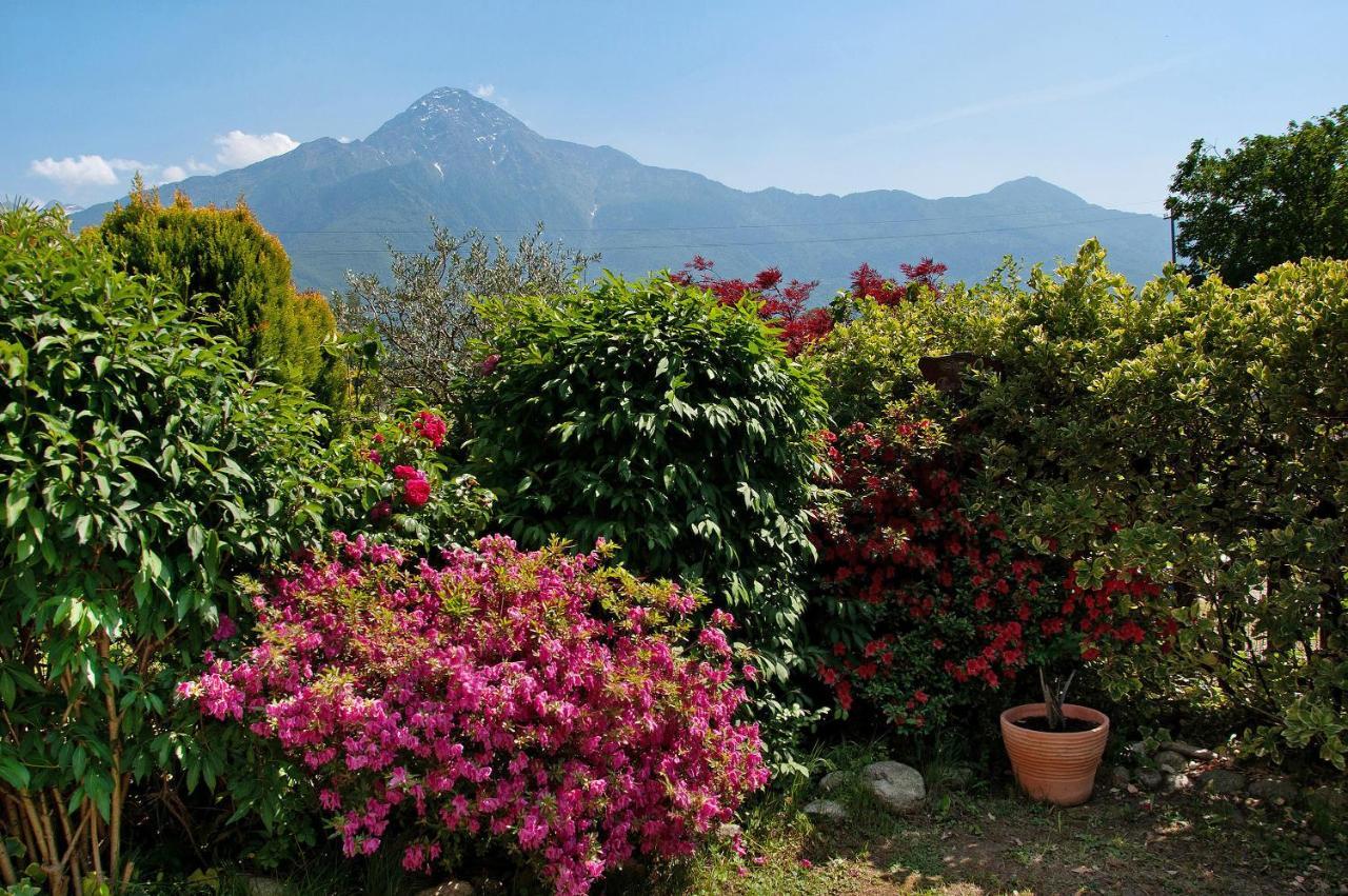 Casa Vacanze Al Boschetto Poncetta Exterior photo